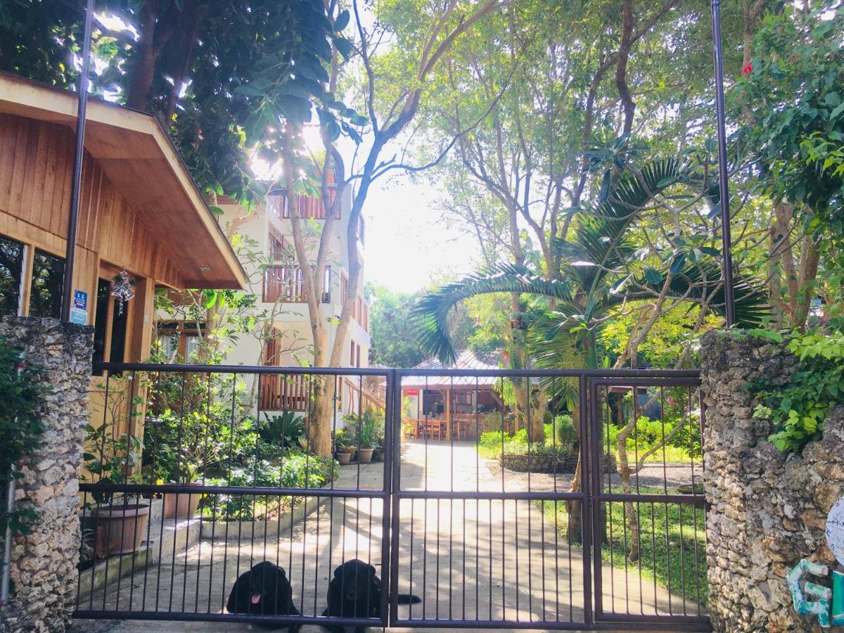 Pahiluna Guesthouse Panglao Exteriér fotografie
