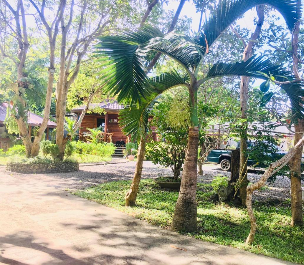 Pahiluna Guesthouse Panglao Exteriér fotografie